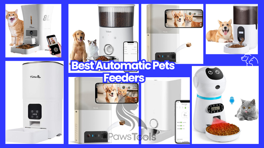 Best Automatic Pets Feeders