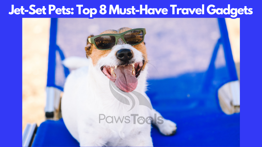 Travel Gadgets for pets