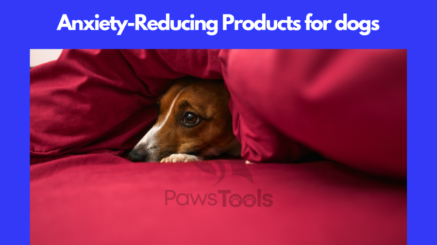 Anxiety-Reducing Products for dogs