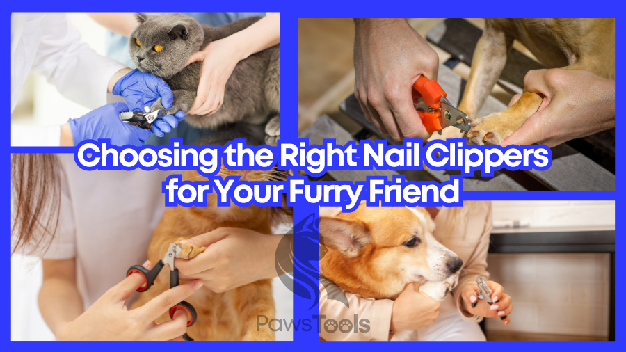 the Right Nail Clippers for Your pets