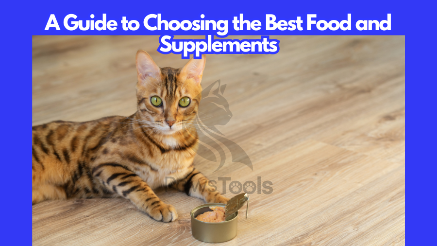 the Best Food and Supplements for pets