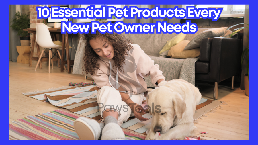 Essential Pet Products Every Pet Needs