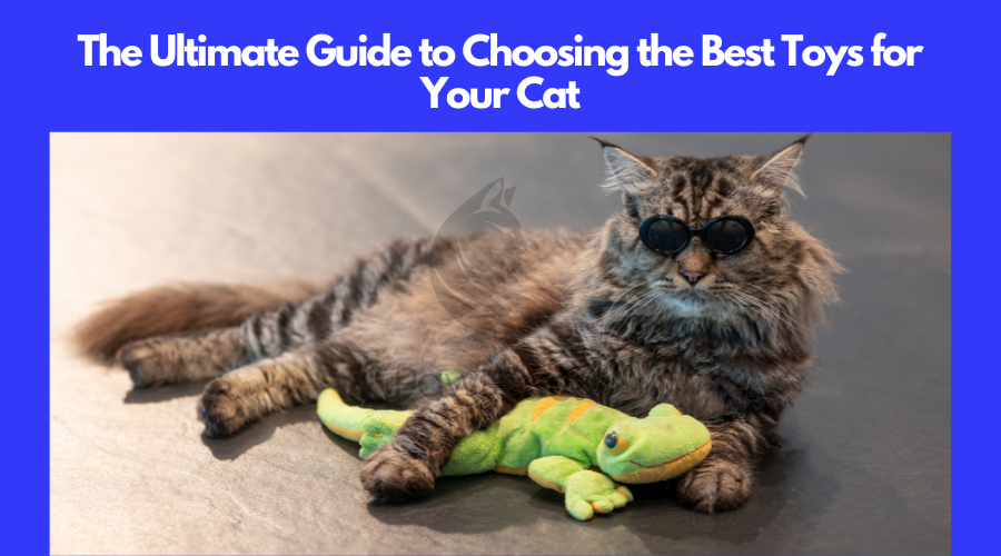 how to Choose the Best Toys for Your Cat