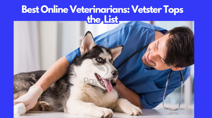 Best Online Veterinarians