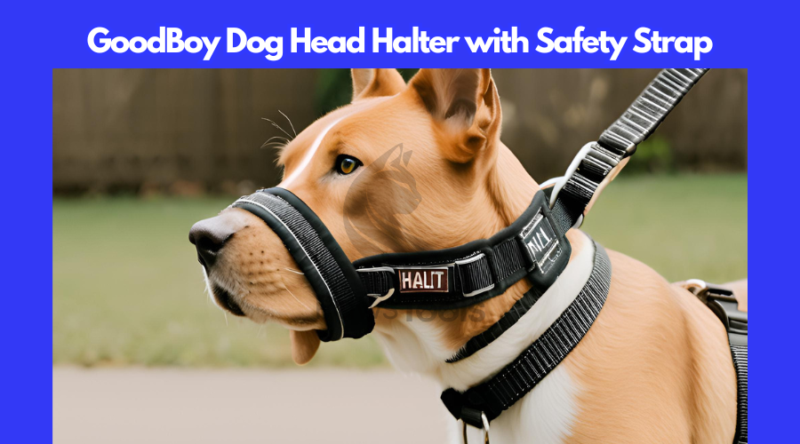 Safety Strap Dog Head Halter