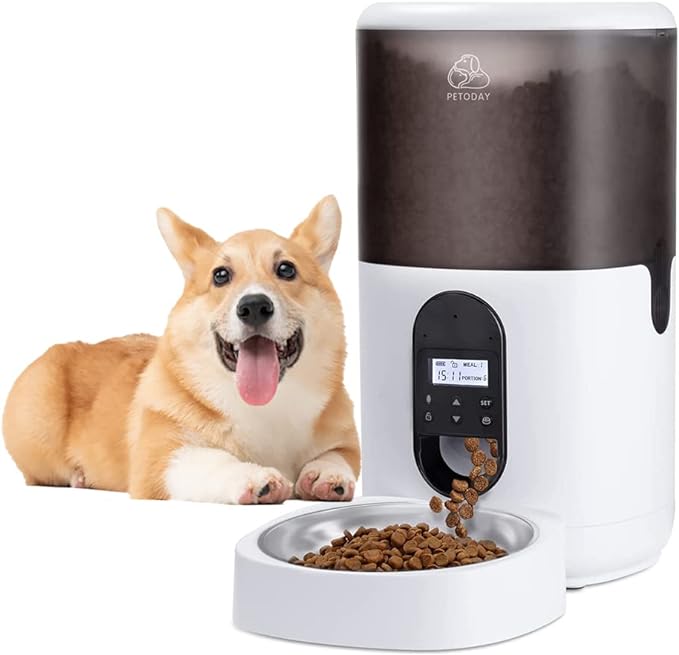 Best Automatic Cat Feeders