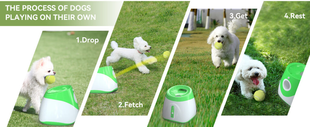 Transform Your Pet Care: Mind-Blowing Smart Gadgets 