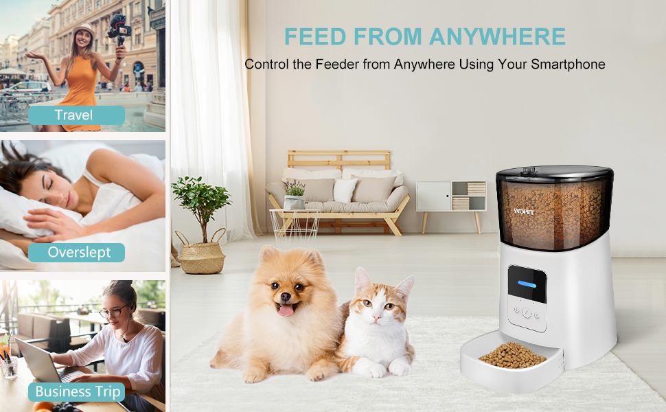 Best Automatic pets Feeders