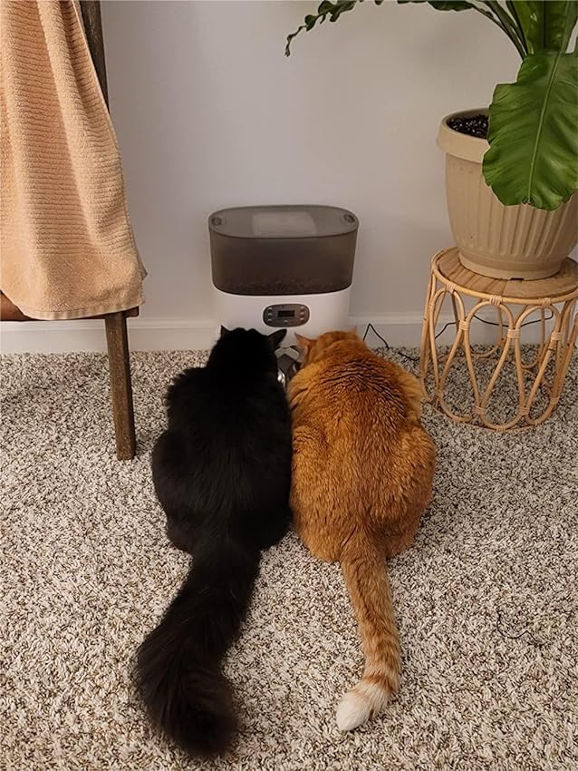 Best Automatic pets Feeders