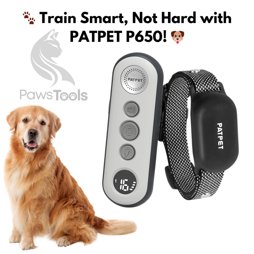 Dog Training with PATPET P650