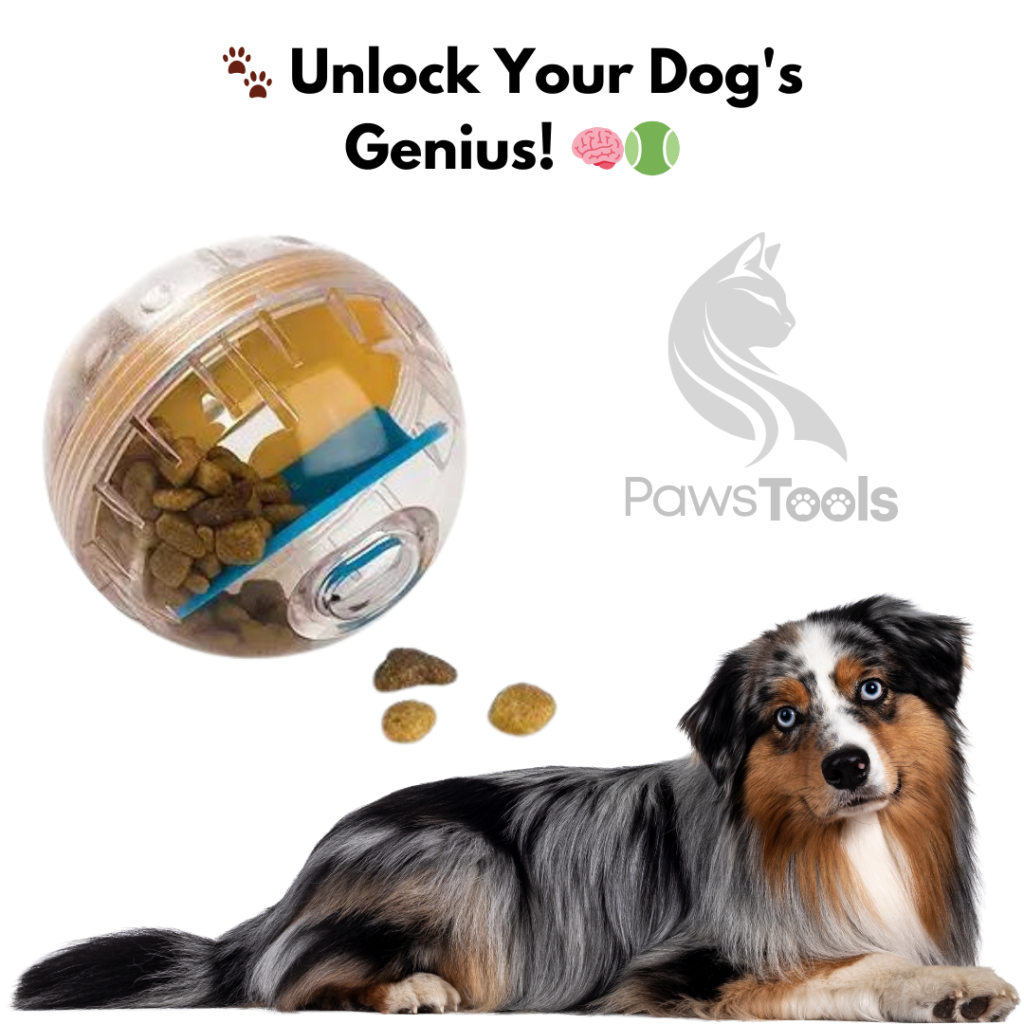 Dog's Genius with Treat Dispenser Ball