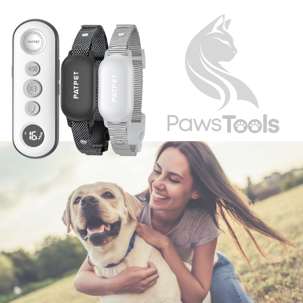 Dog Training with PATPET P650