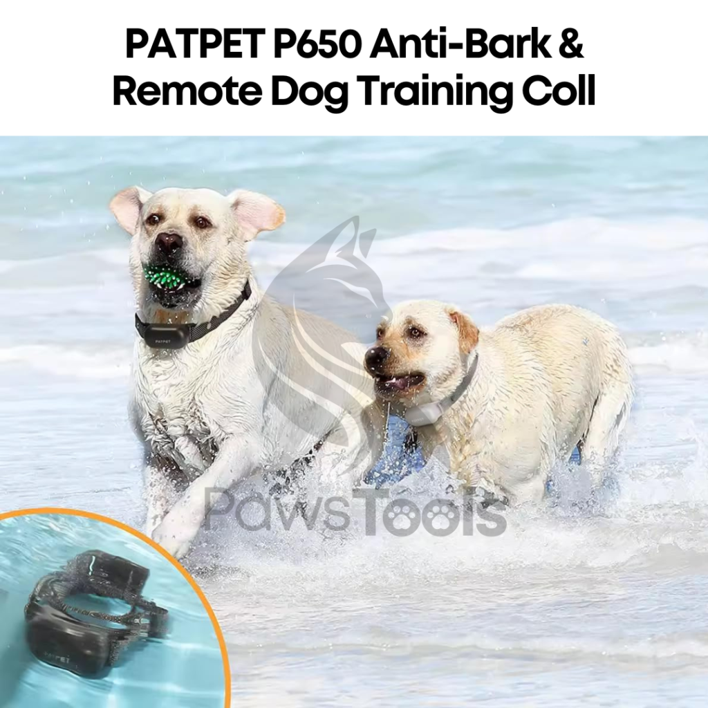 Dog Training with PATPET P650