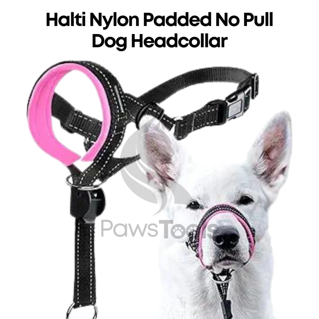 Safety Strap Dog Head Halter 