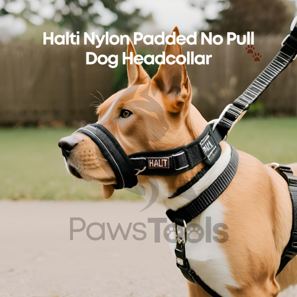 Safety Strap Dog Head Halter 