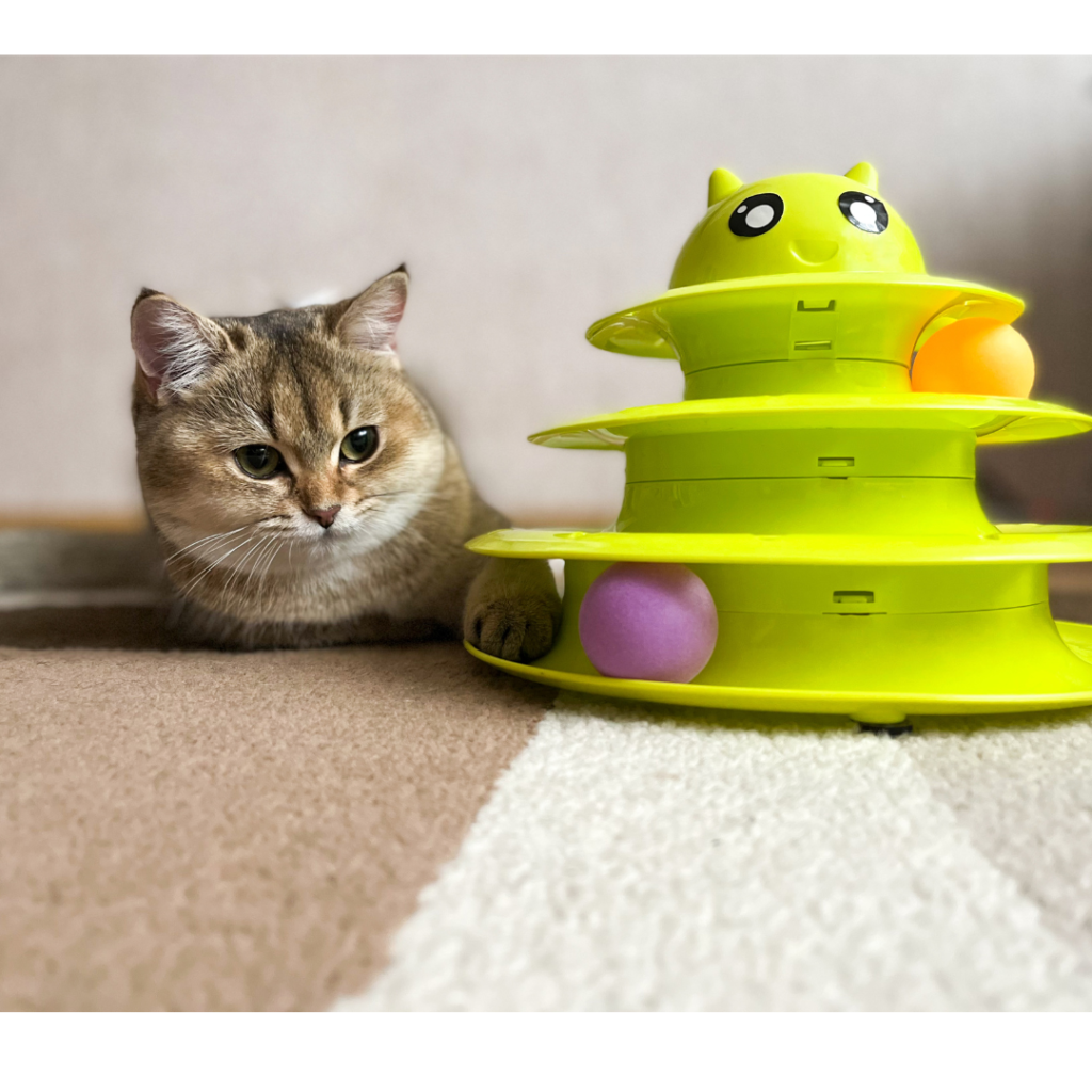 how to Choose the Best Toys for Your Cat