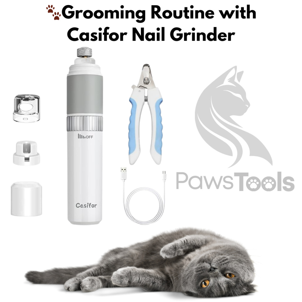 Nail Grinder & Clippers for pet's Grooming Routine 