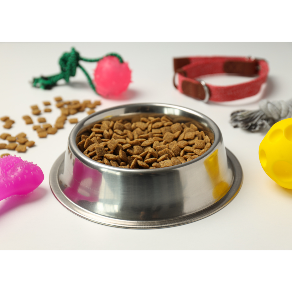 the Best Food and Supplements for pets