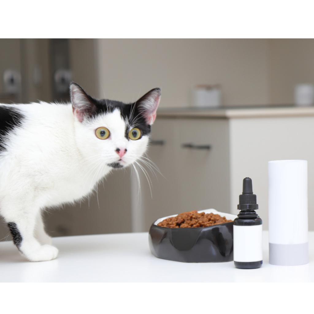 the Best Food and Supplements for pets