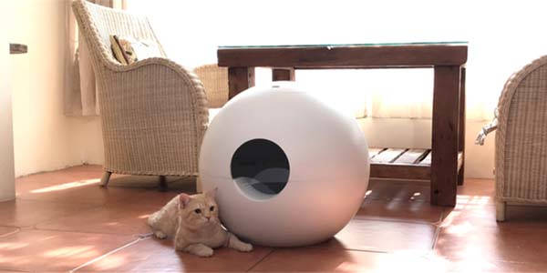 Clever Litter Box for pets