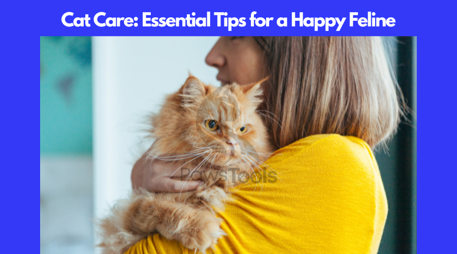 Cat Care Essential Tips for cat