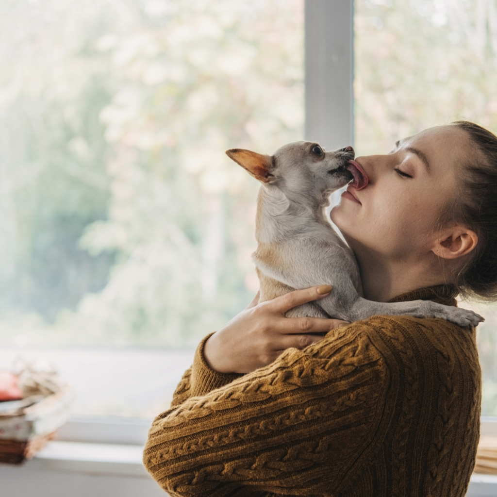 Easy Dog Tricks for training