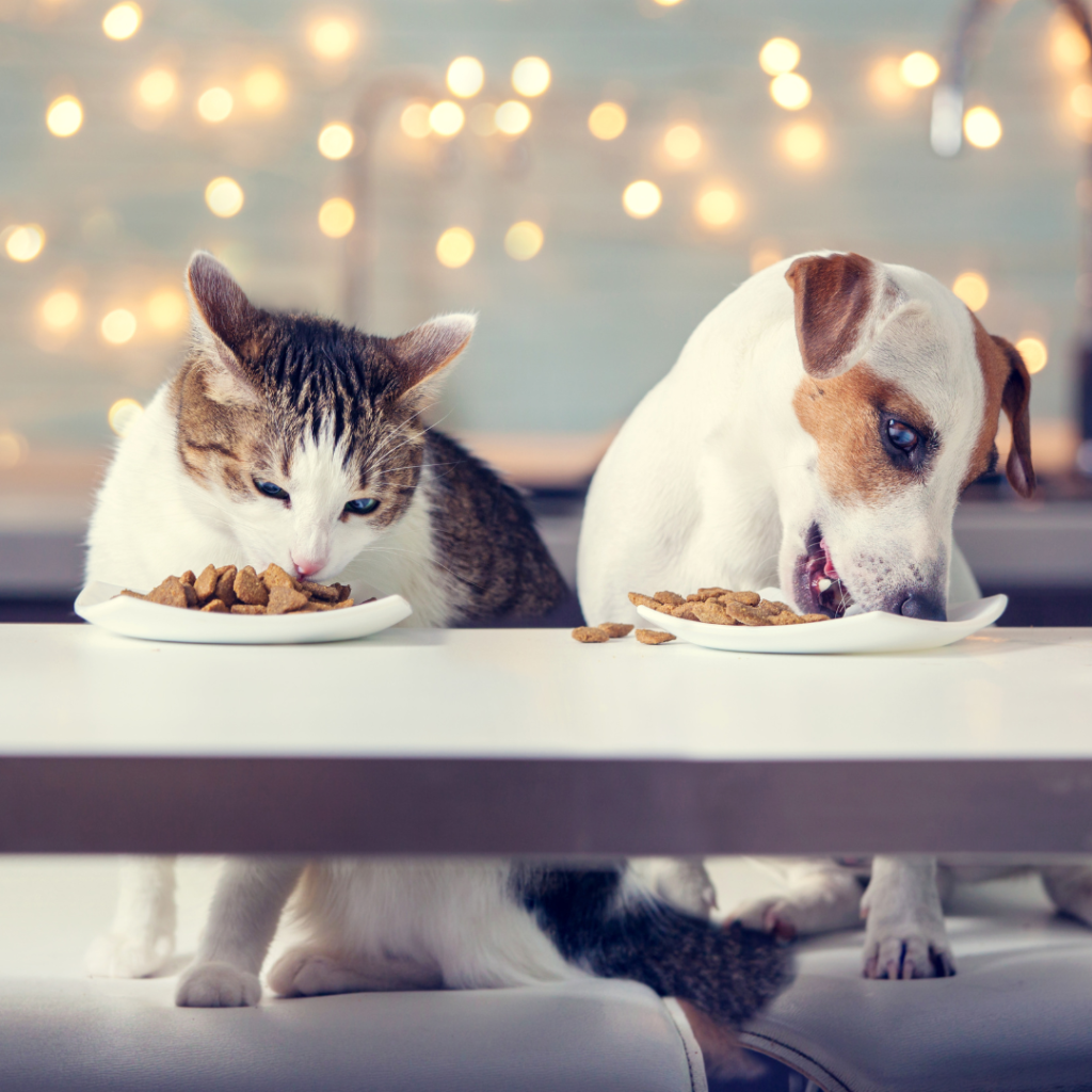 Can Dogs Eat Cat Food?