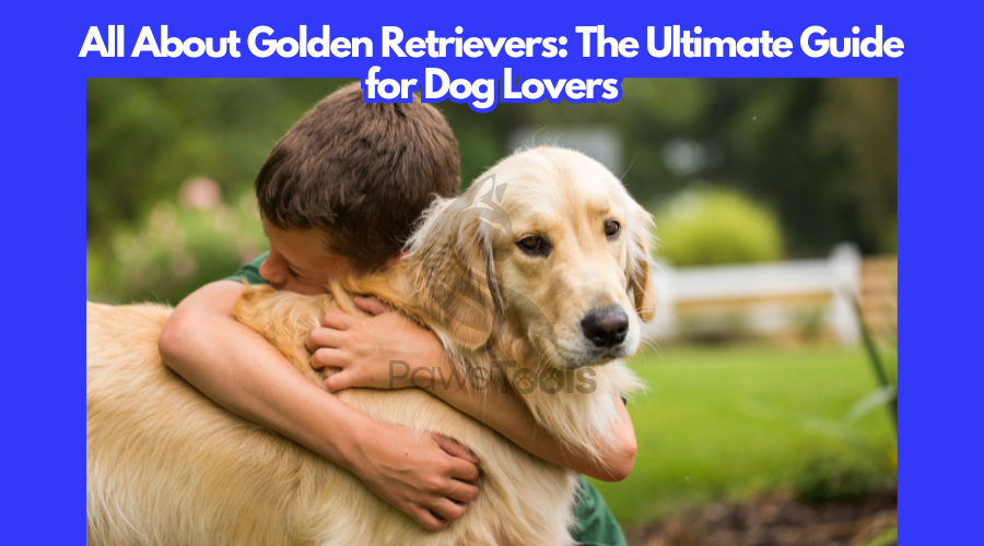 All About Golden Retrievers